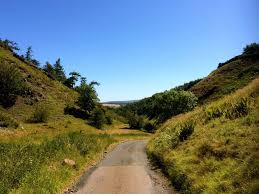 Days out in the Borders : Wooler Common And Earle Circular Walk