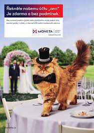 You also use this card when necessary if you have become unable to pay your credit card debt, you should consult the bank and create a. Reknete Nasemu Uctu Ano Moneta Money Bank Marketing Media