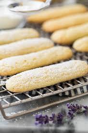 Lady finger cookies are light and sweet sponge cakes roughly shaped like a large finger. Ladyfingers Savoiardi Sugar Spun Run