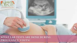 Image result for Prenatal Lab