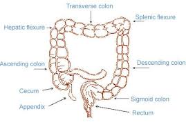 Splenic Flexure Syndrome Symptoms Causes Treatment Colorectal Diverticulitis Colic Treatment