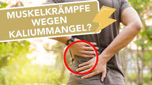 Kalium Test Empfehlungen 08 21 Arzneimittelfakten