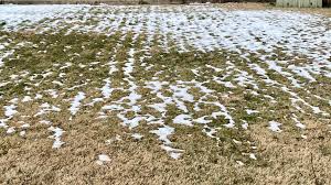 A snowstorm is an event. The Snow In My Yard Is Melting In Rows Mildlyinteresting