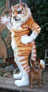 The first golden tiger cub born in captivity was in 1983 and this came from standard coloured bengal tigers. Golden Tabby Tiger By Beastcub Fur Affinity Dot Net