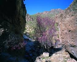 نتیجه جستجوی لغت [valley] در گوگل