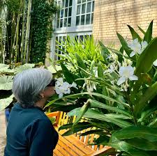 Image result for Hedychium coronarium