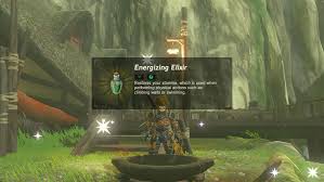 Breath Of The Wild: Should You Get A Heart Container Or Stamina Vessel?