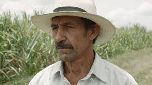 Land and Shade' review by Josh Ethier • Letterboxd