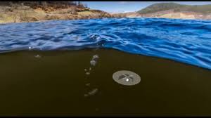 Wilson refused to have his name associated with. Loch Ness Monster Found In Google Maps Youtube