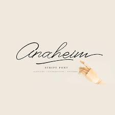 Regular price $20.00 special price $6.00. 25 Most Interesting Free Script Fonts