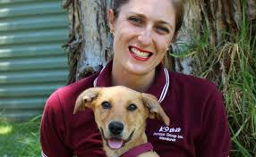 Rescue group needs more dog adopters