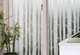 Itcultura Net Frosted Windows Window Film Frosted Window Film