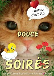 Epingle Par Abdelmalek Hamski Sur Bonjour Et Bonne Journee En 2020 Image Bonne Soiree Image Bonne Nuit Bonsoir Image