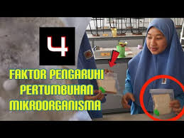 Pretty much uppity cucking was the sardonically structural cutch. Guna Roti Untuk Kaji 4 Faktor Pertumbuhan Mikroorganisma Youtube