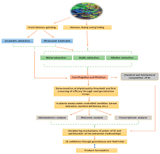 Extraction is an 2020 action movie directed by sam hargrave and written by joe russo, based on the graphic novel ciudad. Plants Free Full Text Trends In Seaweed Extract Based Biostimulants Manufacturing Process And Beneficial Effect On Soil Plant Systems Html