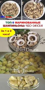 что можно приготовить быстро и вкусно в домашних условиях Top 9 Marinovannye Shampinony V Domashnih Usloviyah Bystro I Vkusno Recept V 2020 G Idei Dlya Blyud Zakuski Prazdnichnye Recepty