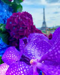 Maybe you would like to learn more about one of these? Jeff Leatham Jeffleatham Instagram Photos And Videos