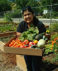 When you learn how to harvest and preserve, nothing goes to waste. Harvesting And Preserving Your Garden Live Smart Colorado