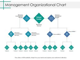 Management Organizational Chart Ppt Professional Background