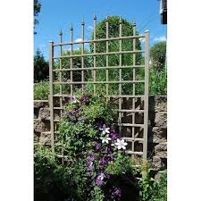 Grow clematis plants up the length of a brick wall with vine eyes. 6 Best Wrought Iron Trellises Of 2021 Golly Gee Gardening