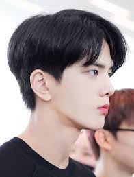 If you want a chic korean pop hairstyle, take a look at our two block haircuts gallery. 40 Chic Two Block Haircuts For Men 2021 Gallery Hairmanz