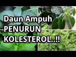 Inilah 5 Daun Daunan Penurun Kolesterol Tinggi Secara Alami Alam