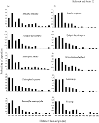 Image result for Staudtia