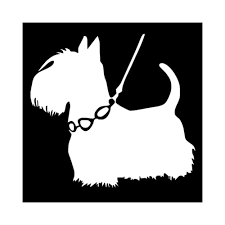 Image result for skotský teriér