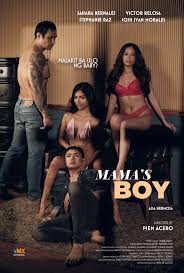 Fred Said: MOVIES: VMX: Mini-Reviews of SECRET SESSIONS, BOY KALDAG, MAMAS  BOY