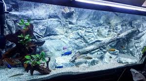 Aquarium Backgrounds Archives Aquadecor Backgrounds Aquarium Backgrounds Aquarium Background