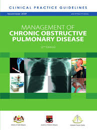 Valoración de los usuarios para clinical practice guidelines (cpg) malaysia: Managemant Copd Cpg Msia Chronic Obstructive Pulmonary Disease Air Pollution