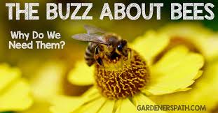 How do bees help plants grow and survive. The Buzz About Bees Why We Need Them Gardener S Path
