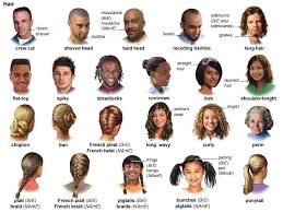 Hair Noun Definition Pictures Pronunciation And Usage Notes English Vocabulary Learn English Vocabulary Pictures