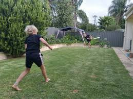 Charlie albone tours the charming cottage garden at red cow farm. Almanac Backyards Dad Calls Backyard Cricket Drs Trial A Success