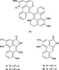 Many different derivatives have been isolated from plants. Aporphine Alkaloid An Overview Sciencedirect Topics