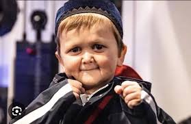 Who would win in a fight between Flavor Flav and Hasbulla?