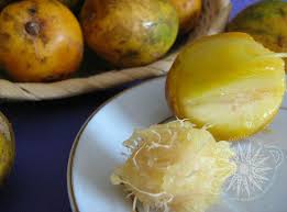 The níspero is a fruit of japanese origin and depending on where it grows you will be able to see variations on how it looks. Manzanas De Oro Jobos Food Dominican Food Fruit