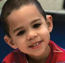 ANNUAL REPORT 2008|2009