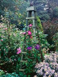 Design Ideas For Climbers And Wall Shrubs Climbing Plants Garden Trellis Garden Obelisk