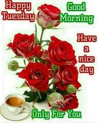 Funny tuesday memes these good morning tuesday blessings are all you need to stay. Good Morning Tuesday Good Morning Nature Facebook