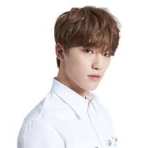 Hansol vernon choi, idol yang lahir pada 18 februari 1998 dan . Biodata Profil Dan Fakta Lengkap Member Seventeen Kepoper