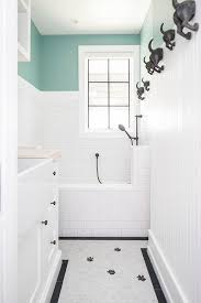 dog grooming sink design ideas