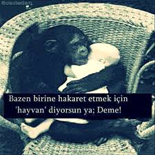 Bazen Birine Hakaret Etmek Icin Hayvan Diyorsun Ya Deme Dediadam Siirsokakta Kitap Oku Siirherye Hayvan Sozleri Guzel Soz Ilham Veren Alintilar