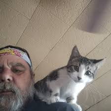 What rooms or roommates are available in New Heaven, Stratford, Bridgeport,  Darien, and Stamford area for someone with an emotional support animal?