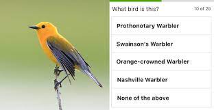 How many limbs does a bird have? Photo Sound Quiz Ebird