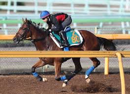ジョディーが府中牝馬sで逃げ粘るか 米遠征の経験値を活かす 競馬ニュース Tv