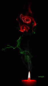 Maybe you would like to learn more about one of these? Love Flowers Gif 1 Gif Images Download