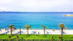 The okinawa churaumi aquarium (沖縄美ら海水族館, okinawa churaumi suizokukan) formerly okinawa ocean expo aquarium is located within the ocean expo park in okinawa, japan. 12 Best Beaches In Okinawa Planetware