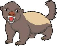 Maybe you would like to learn more about one of these? Search Results For Honey Badger Clip Art Pictures Graphics Illustrations