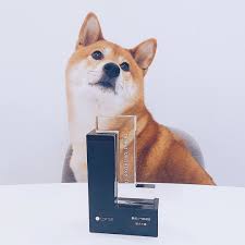Shiba inu, microsoft windows, memes, doge. Watch The Best Youtube Videos Online Shiba Shibainu Shibaholic Dog Doge Lovemydog Instadog Doglover Cute æŸ´çŠ¬ ç‹— P I Love Dogs Shiba Inu Dog Lovers